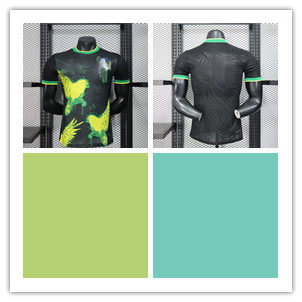 2025 B.razi special player jersey【ID:6256200911】S-2XL